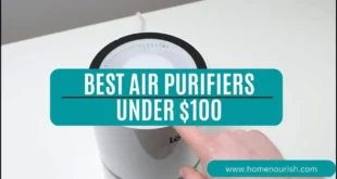 Best Air Purifiers Under $100