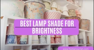 Best Lamp Shade for Brightness